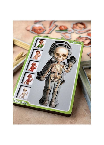 Деревянный пазлвкладыш "Анатомия человека – мальчик" (ПСФ026) PSF026 телосложение Ubumblebees (302385526)