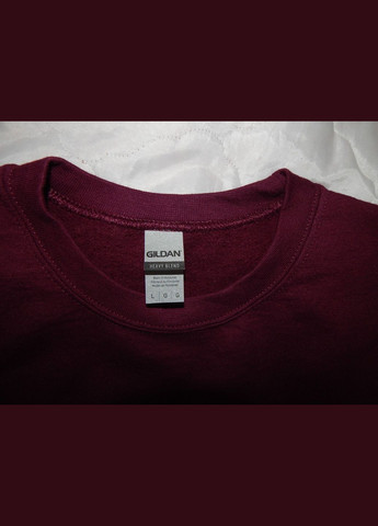 Чоловіча тепла кофта р.50-52 021ZMT (тільки в зазначеному розмірі, тільки 1 шт.) Gildan (315725270)