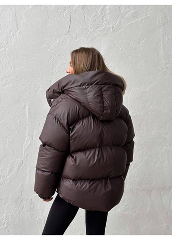 Коричневий зимній Пуховик milirud