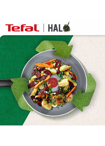 Сковорода Halo 24 см (C3120453) Tefal (351855594)