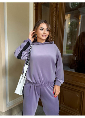 Жіночий велюровий костюм Osoblyva (366528199)