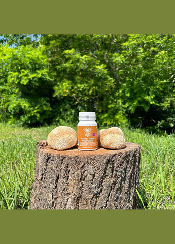 Екстракт Їжовика гребінчастого, 60 капсул по 0.5 г Лісовик (337336455)