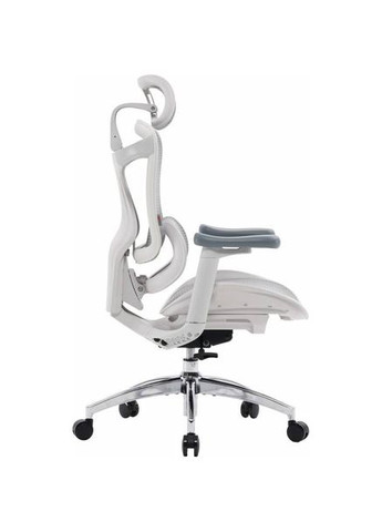 Кресло DORO C300L Mesh White (DORO-C300L-A3-102) Sihoo (358884155)
