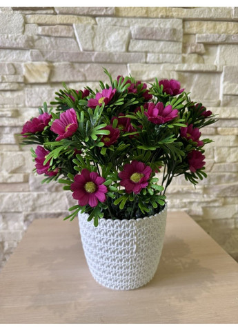 Букет малинової ромашки в горщику 30 см. Пластмакс (372838133)
