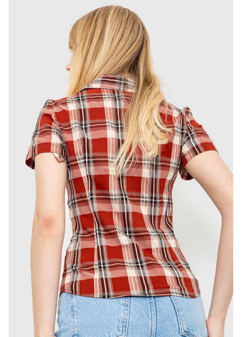 Терракотовая рубашка Ager