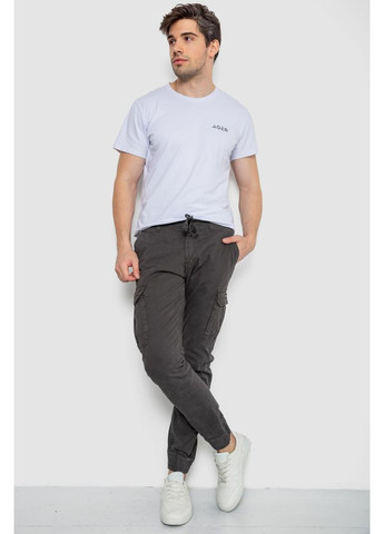 Темно-серые демисезонные брюки Ager