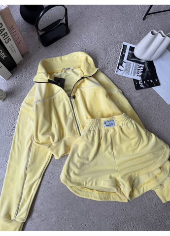 Жіночий велюровий спортивний комплект Україна (349817939)