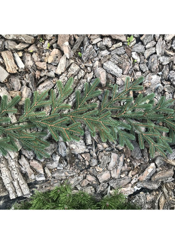 Гирлянда хвойная SGH Traditional литая 2 м зеленая HVOYA (366963872)