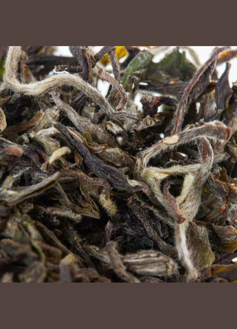 Дарджилінг Місячне сяйво SFTGFOP1 весна 2023 Маргаретс Хоуп - 50 г No Brand (305196687)