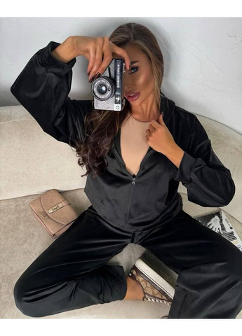 Женский велюровый спортивный костюм FINO Mode (360974240)