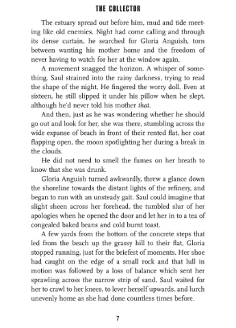 The Collector Pan MacMillan (370062328)
