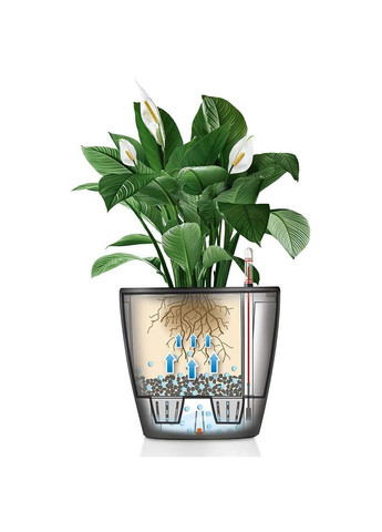 Кашпо Classico Premium LS 35 White (16060) Lechuza (323128743)