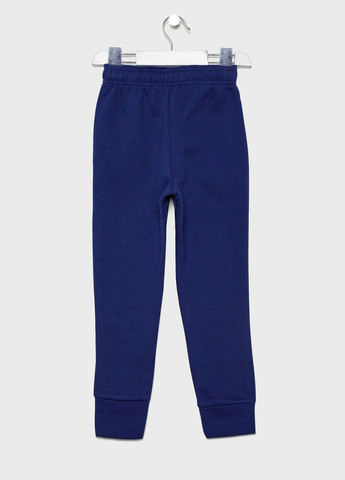 Синие спортивные, повседневный демисезонные брюки Reebok