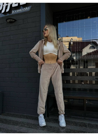 Жіночий велюровий костюм двійка Fashion (382027427)