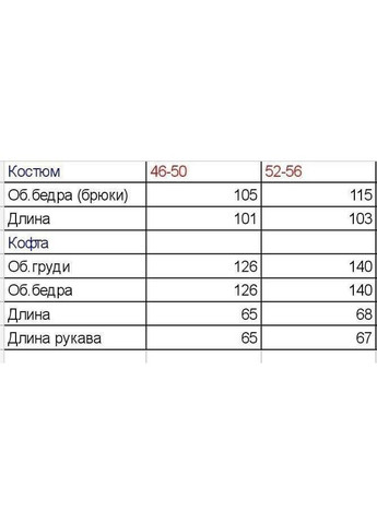 Жіночий спортивний костюм No Brand (324103711)