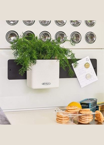 Комплект Green Wall Home Kit Color 48х6х14 см білий 13398 Lechuza (316626870)