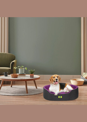 Лежак — ліжко для собак і кішок Dandy C Colour (Ферпласт Денді З Колор) Ferplast (315341002)