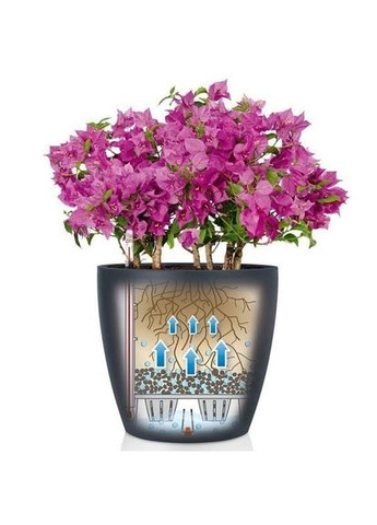 Вазон CLASSICO Color 18 мускатный 13262 Lechuza (316621855)