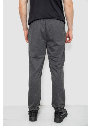 Темно-серые спортивные демисезонные брюки Sport Line