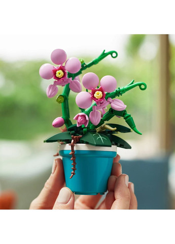 Конструктор Zuru Garden S1 Садові рослини в горщиках (83183GQ1) Max (342753264)