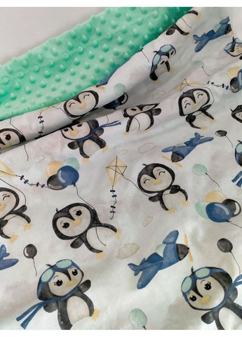 Дитячий плюшевий плед, плюш пупирка з польською бавовною, розмір 75*90 No Brand (371774418)