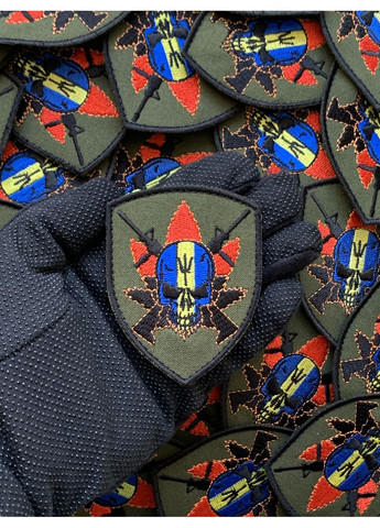 Шеврон Черепок (Форма щит. На липучці) Розмір 8x6см No Brand (369924475)