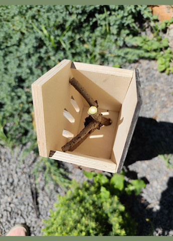 Будиночок для метеликів Оазис Нефарбований No Brand (339606281)