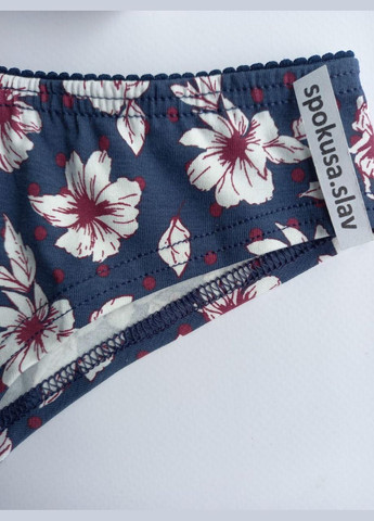 Женские хлопковые трусики Jadea 6121 размер С.. 44 Jadea Intimo (368787913)