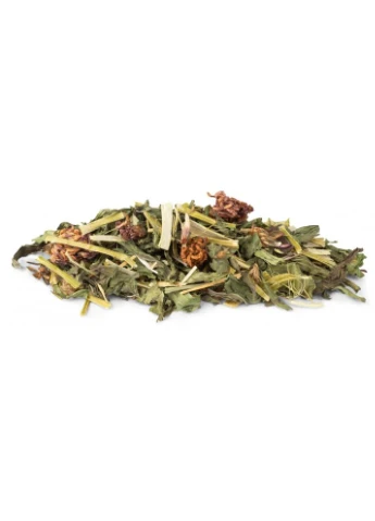 Корм Vita Verde Nature Mix для декоративних гризунів з подорожником та конюшиною 70 г Vitakraft (387150188)