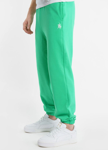 Спортивні штани чоловічі Freedom зелені Arber sportpants m-sbr6 (282955307)