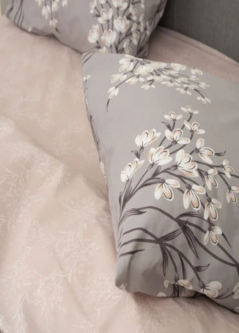 Постільна білизна Вілюта ранфорс сімейна. Постіль Вілюта сім'я. Комплекти постільної білизни. Viluta Постільна білизна (341536780)