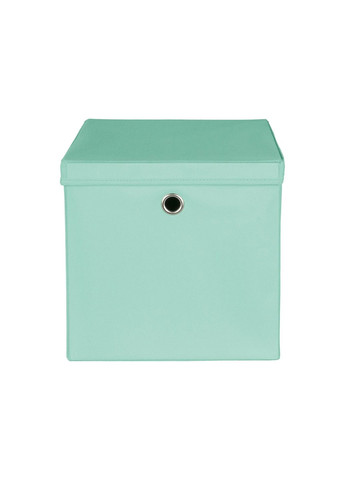 Органайзер с крышкой и ручкой 30,5х30,5х29,5 см мятный Livarno home (322455882)