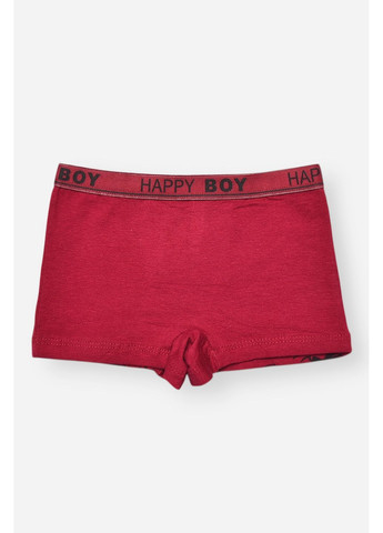 Боксери дитячі для хлопчика бордового кольору з принтом Let's Shop (370212124)