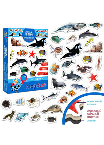 Дитячий набір магнітів Морські мешканці фото ML4031-28 EN MAGDUM (334142144)