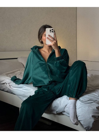 Костюм велюровый DK/DL Мода без кордонів (351850154)