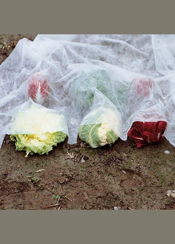 Защитный нетканый материал, 2x10 м, арт. 6747 Verdemax (329407621)