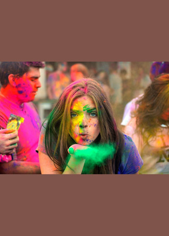 Фарба Холі Holi Fest набір 96 пакетів пакети 50 грам 12 кольорів No Brand (331738696)