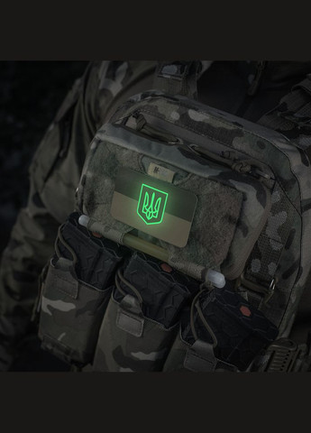 Нашивка прапор України з гербом (80х50 мм) Coyote/GID M-TAC (315339214)