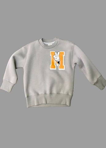 NEWGEN джемпер теплий для хлопчика сірий україна світло-сірий повсякденний тринитка