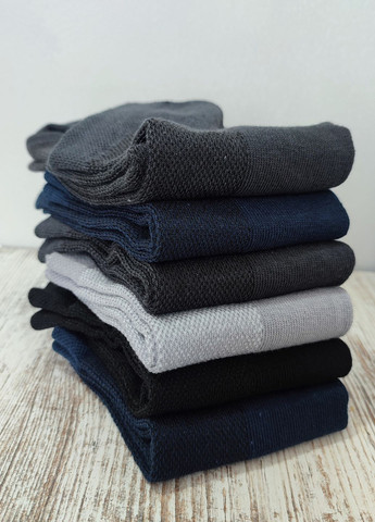 Комбіновані шкарпетки короткі в сітку бавовняні 6 пар упаковка житомир (408) мікс Lomani однотонні (329901353)