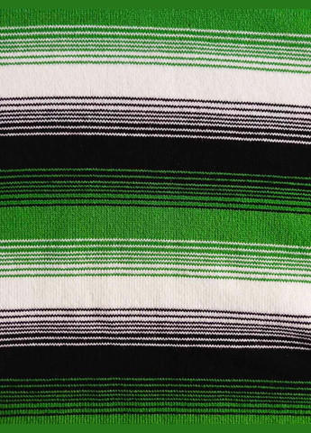 Зелена повсякденний сукня жіноча супер батал великого розміру з довгим рукавом, зимовий теплий акрил з поясом, в широку смужку No Brand в смужку