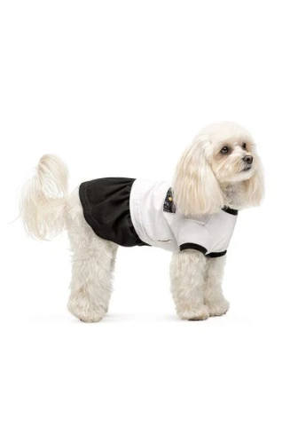 Платье Chanti ТМ для собак /черный (*) Pet Fashion (323219851)