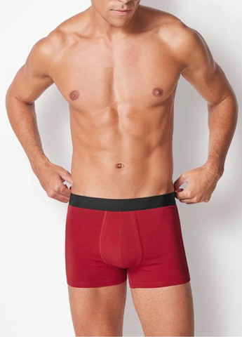 Труси Livergy (366732715)