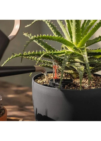 Субстрат Basic PON 20 л 19554 Lechuza (351346656)