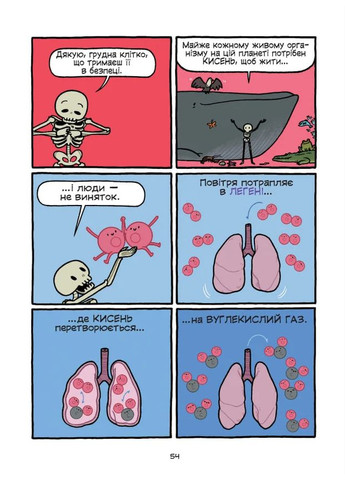 Театр человеческого тела Видавничий дім "Школа" (370113775)