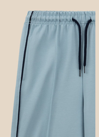 Голубые демисезонные брюки LAWA