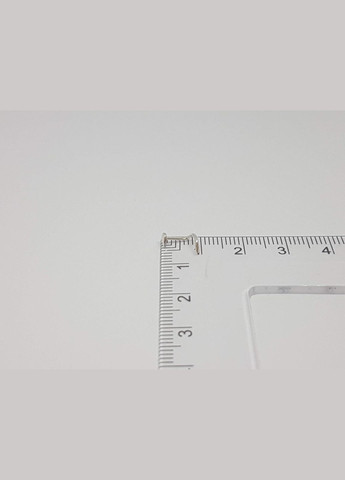 Срібна сережка-пірсинг в ніс. 1022С Dear (269713384)