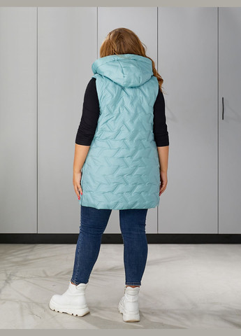 Демисезонная жилетка No Brand (300695243)