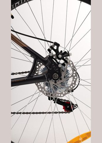 Велосипед SMART 29ER 17 29 Серо-бронзовый shop (2000990619969) Spelli (366257181)