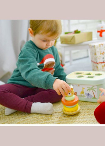 Розвиваючий набір 3в1 Дерев'яна каталка слоник - Сортер з фігурами - Пірамідка неваляшка Tooky toy (304625536)